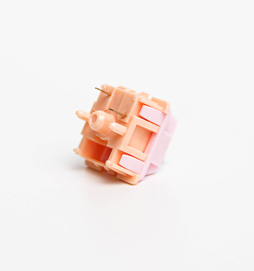 Kinetic Labs Salmon