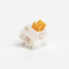 Gazzew U4Tx Switches