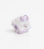 SWK Catmint Switches