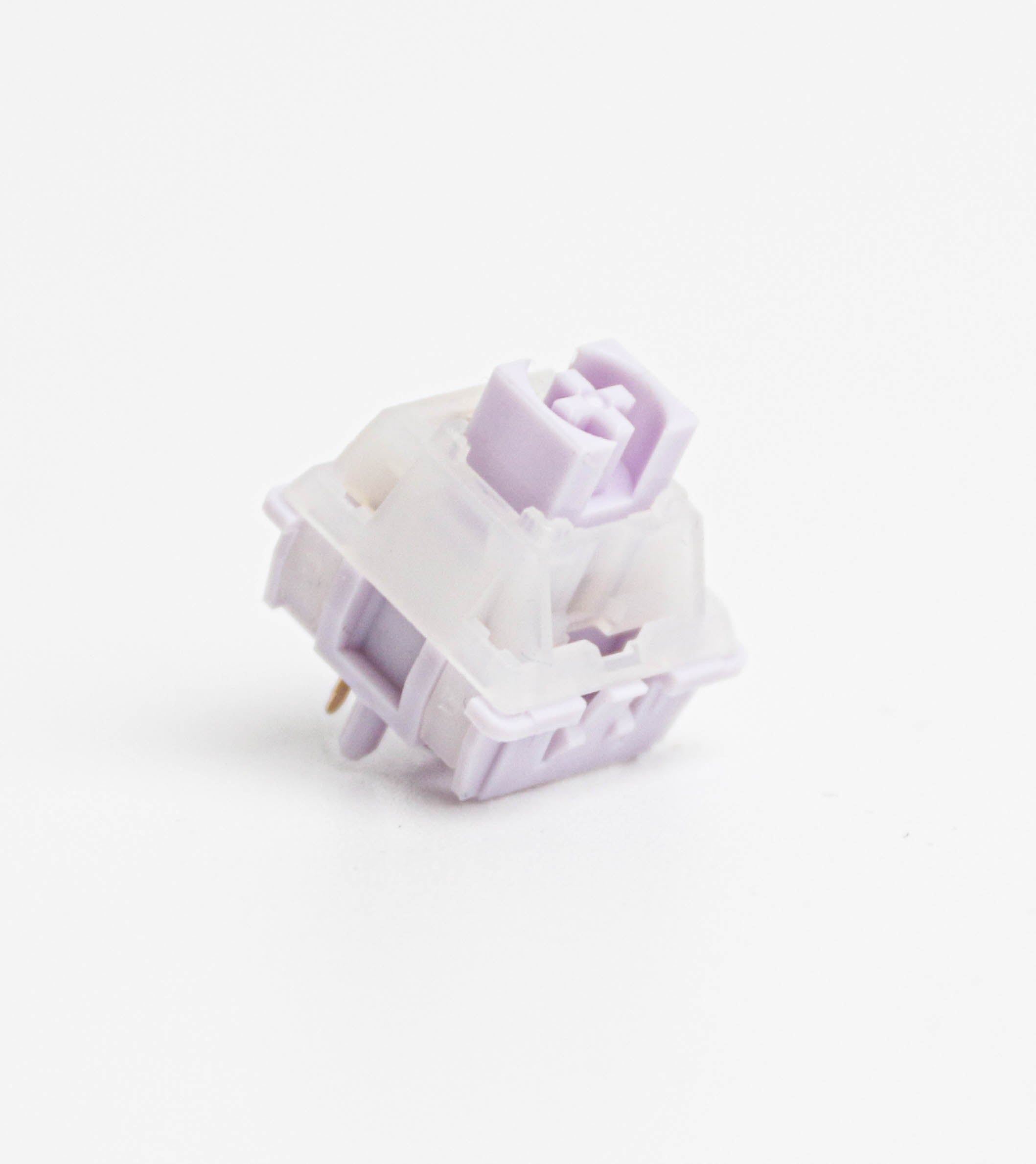 SWK Catmint Switches