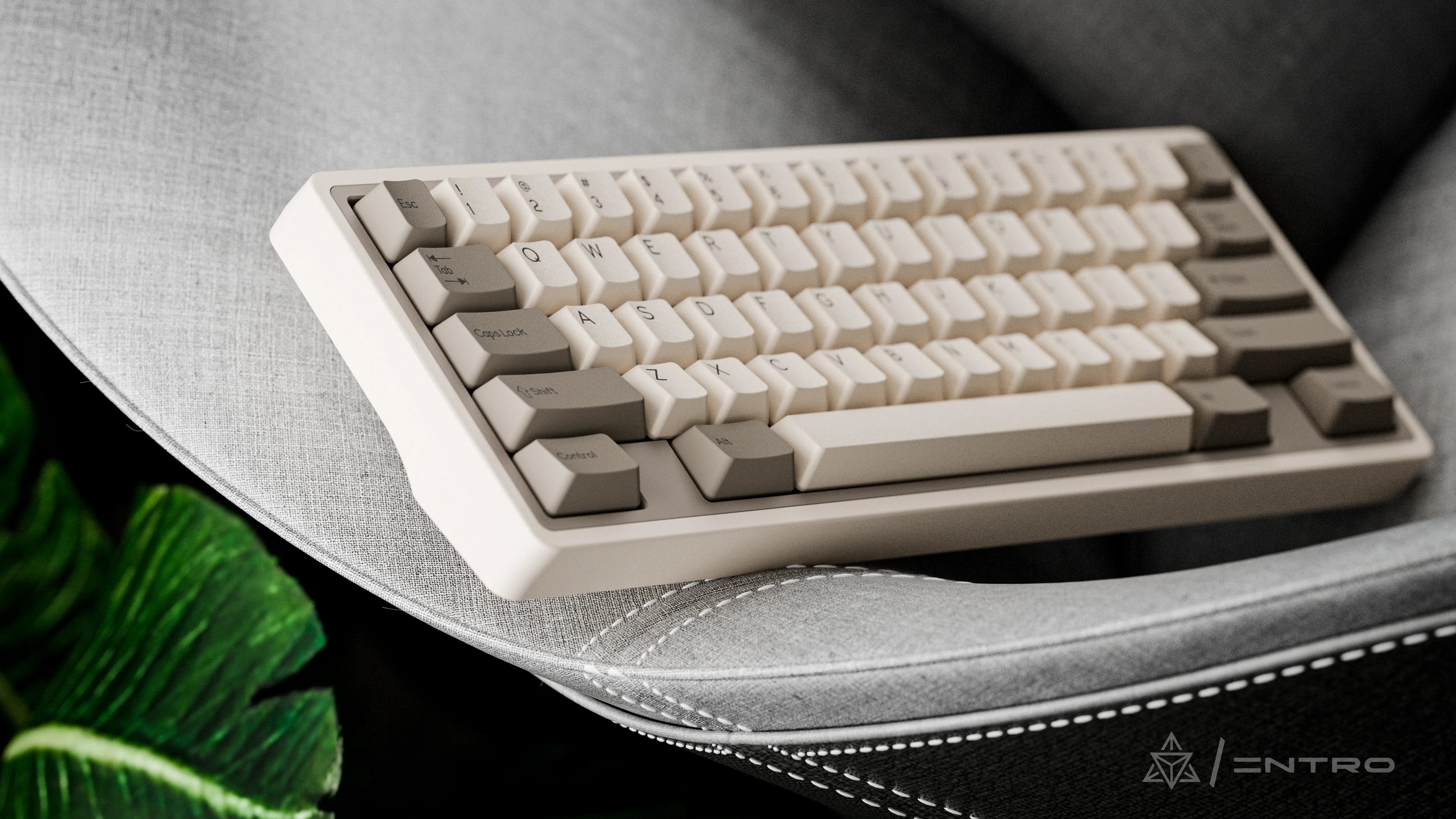 (Extras) DCS Beige