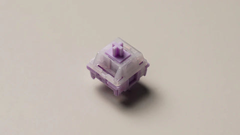 SW x HMX Catmint Switches