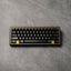 (Pre-Order) Pangea Mini